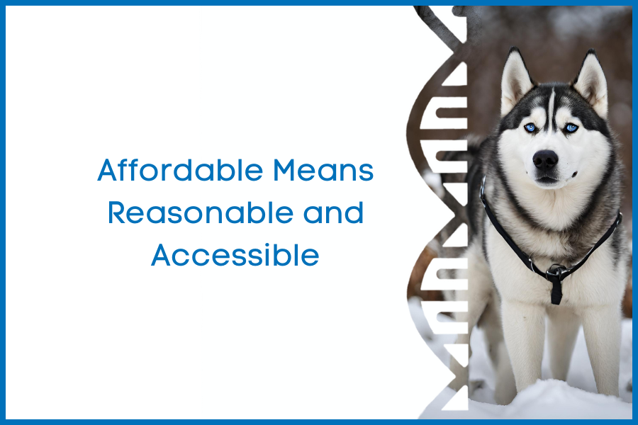 Affordable Means Reasonable and Accessible