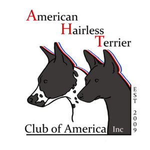 American Hairless Terrier Club of America