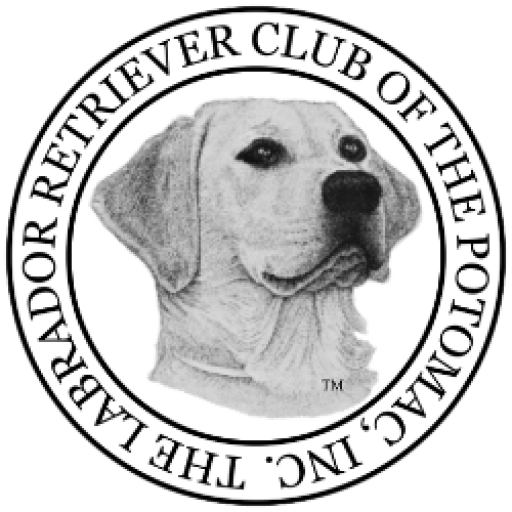 Labrador Retriever Club of the Potomac